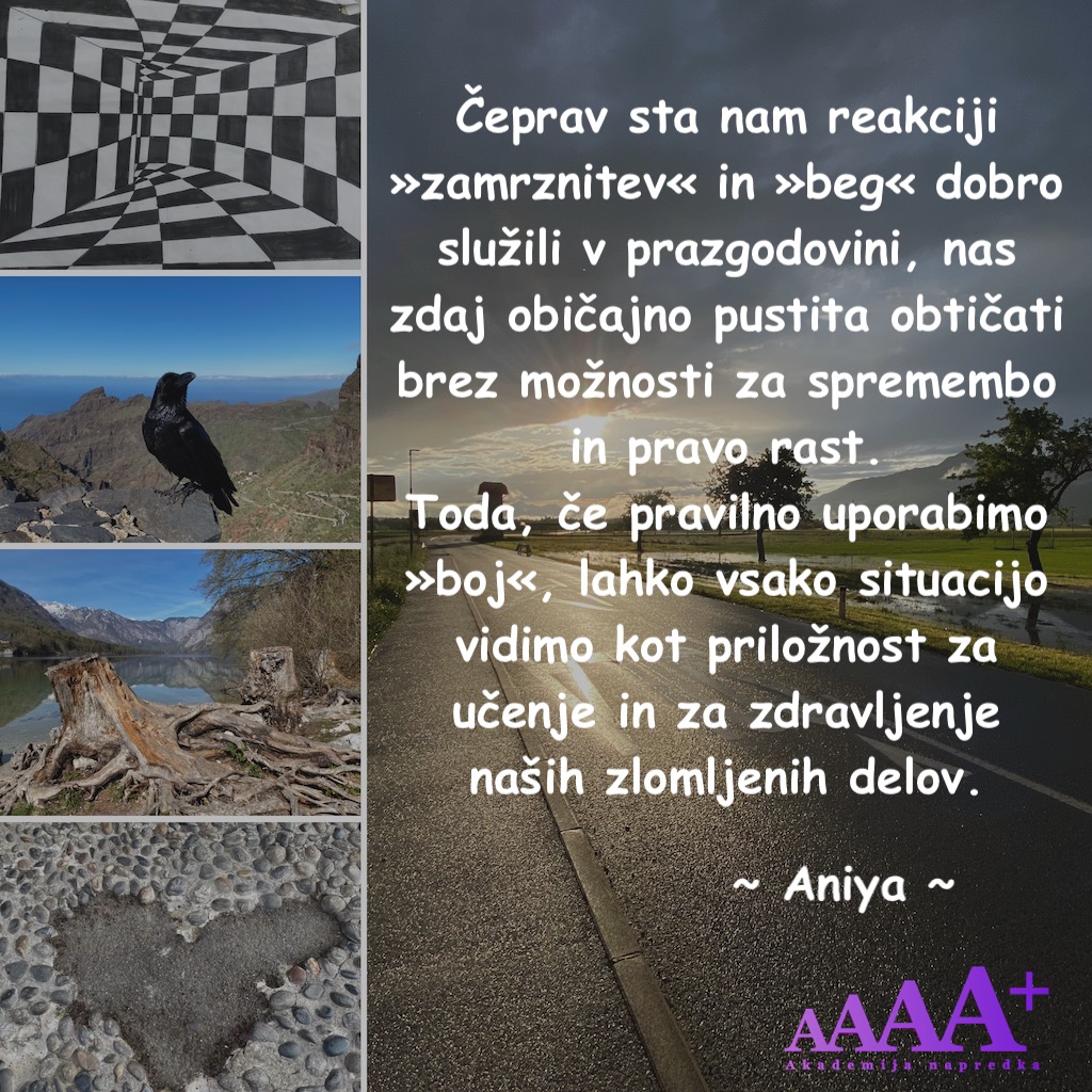 Akademija napredka