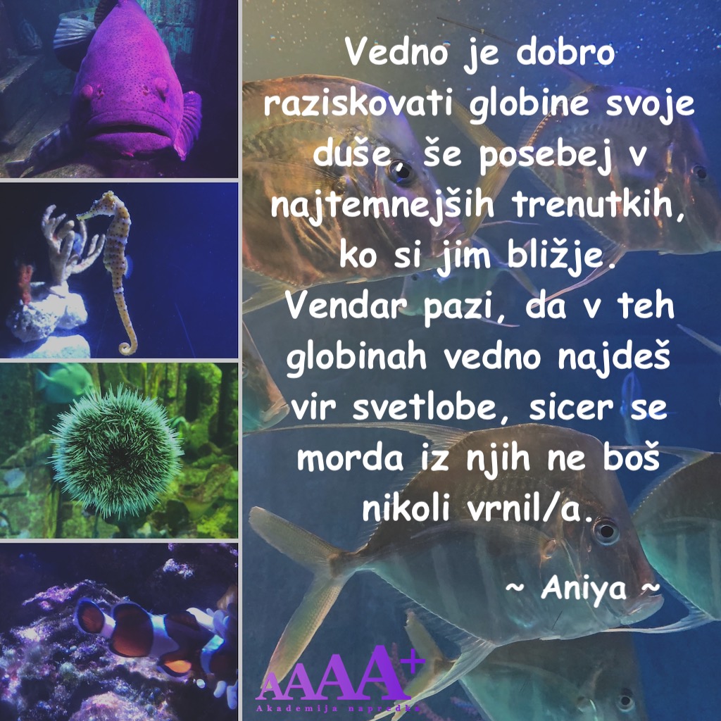 Akademija napredka