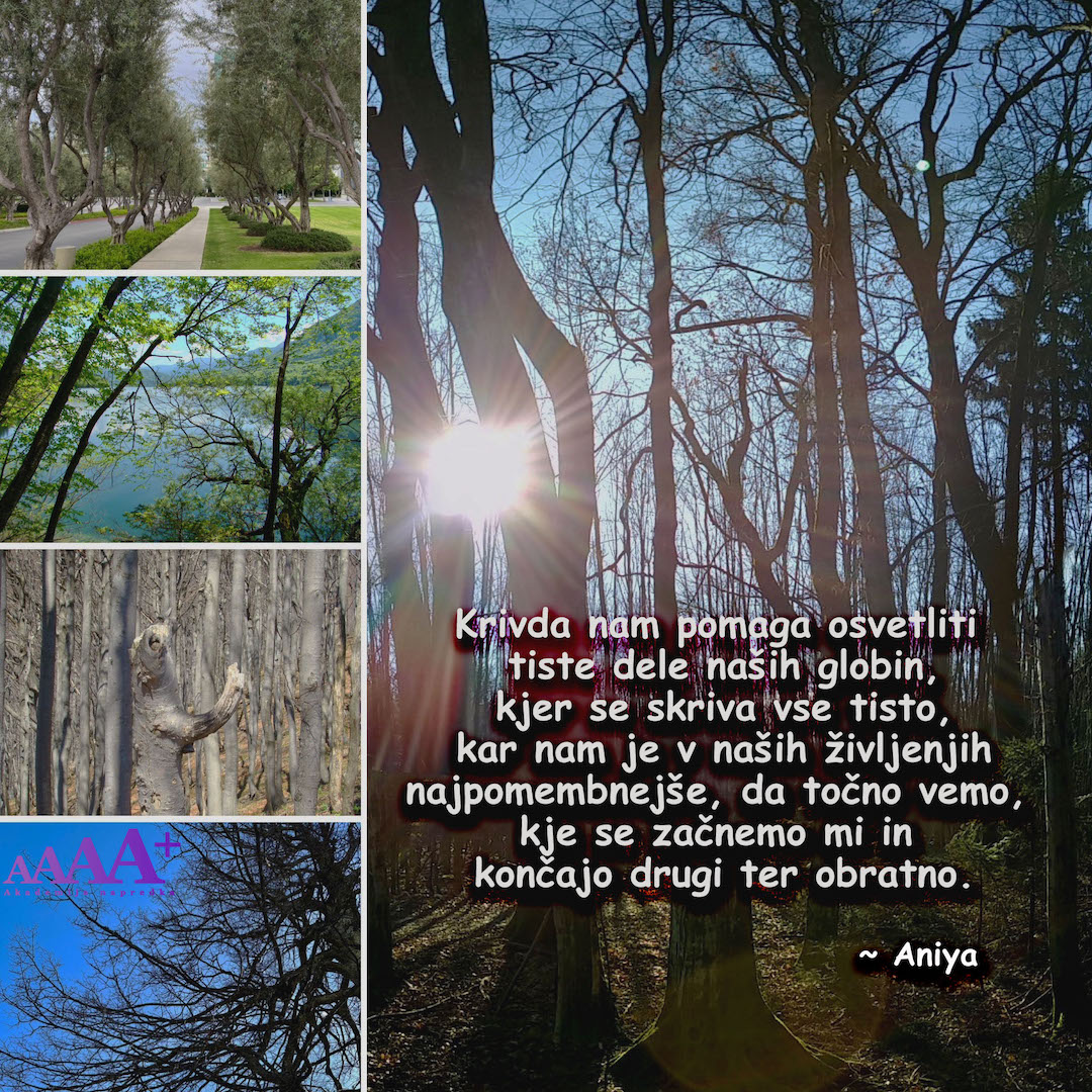 Akademija napredka