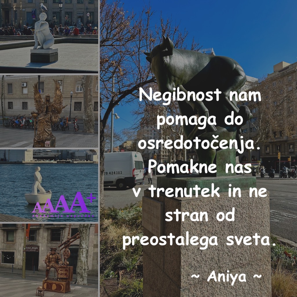 Akademija napredka