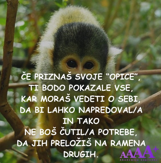 Akademija napredka