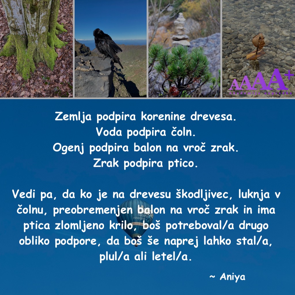 Akademija napredka