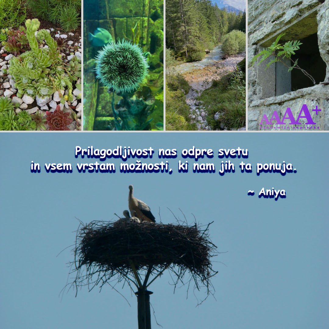 Akademija napredka
