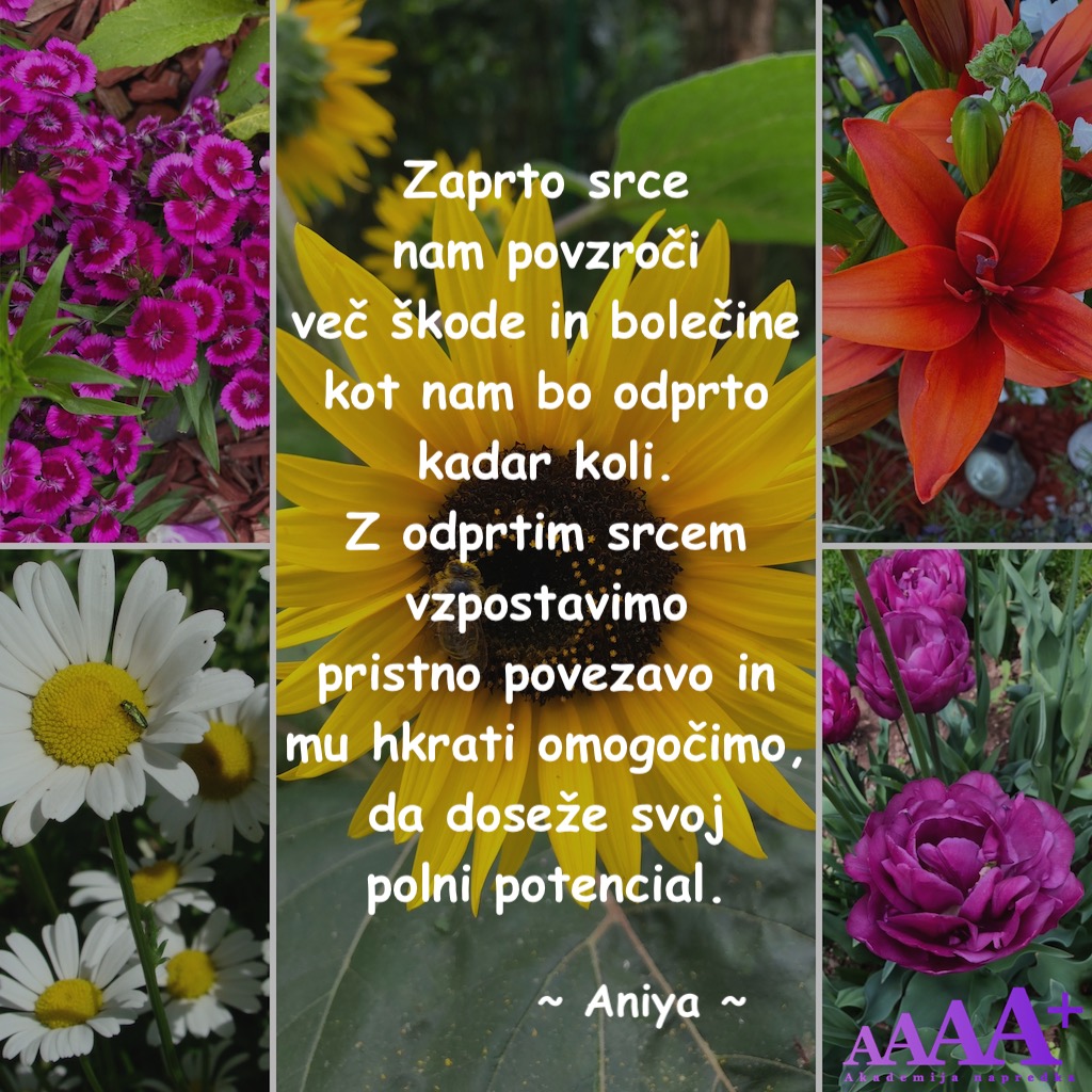 Akademija napredka