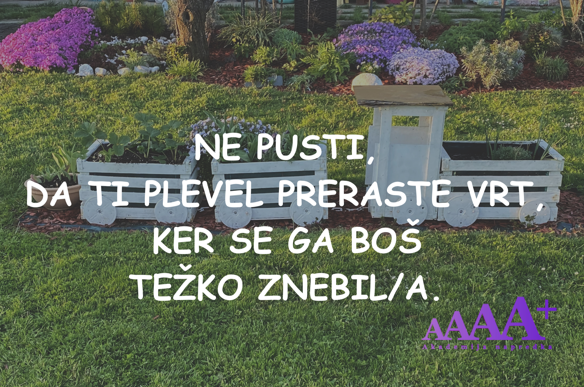 Akademija napredka
